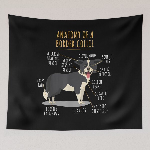 Item preview, Funny Anatomy Of A Border Collie Intelligent Dog Breed  designed and sold by manidala.