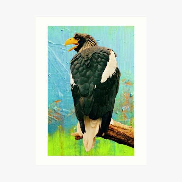 bald eagle squishmallow