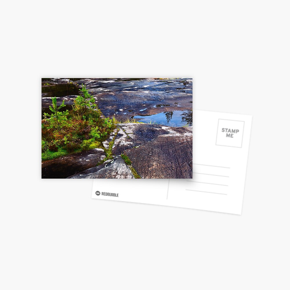 Item preview, Postcard designed and sold by Mallorn.