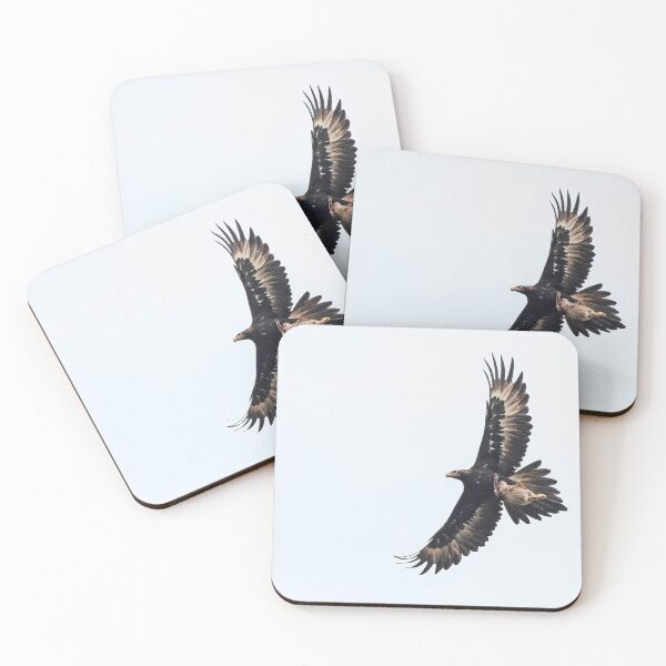 Item preview, Wedge - tailed Eagle with Rabbit Prey designed and sold by Wildpix.