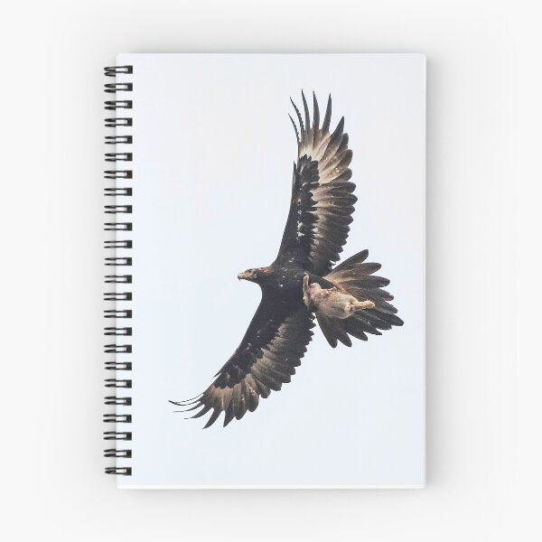Artikelvorschau, Keilschwanzadler mit Kaninchenbeute entworfen und verkauft von Wildpix.