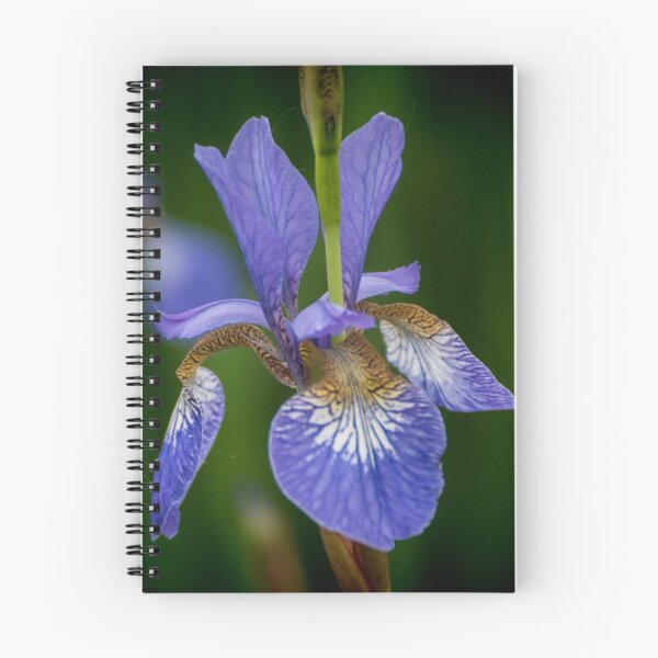 Item preview, Blue Iris designed and sold by Colin Metcalf.
