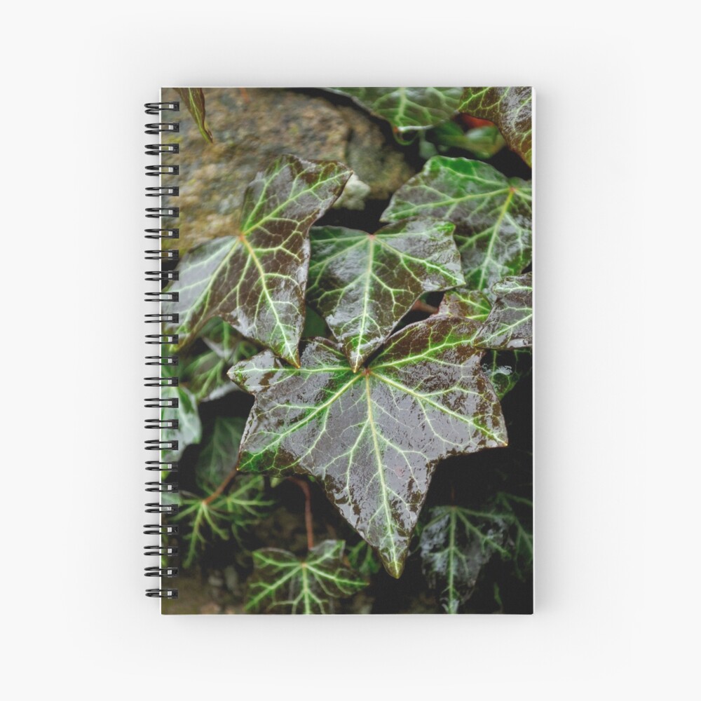 Item preview, Spiral Notebook designed and sold by Tiffany.