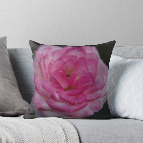 Item preview, Miniature Rose designed and sold by davidjc.