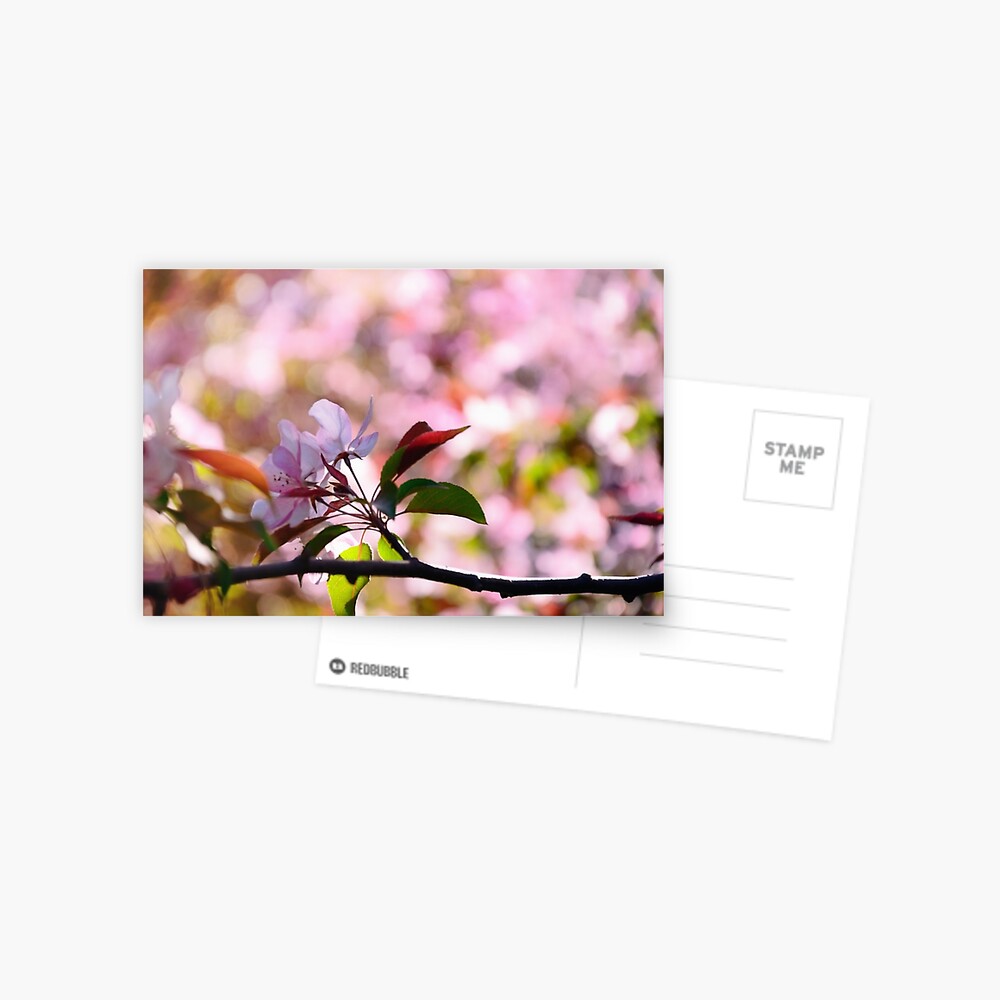 Item preview, Postcard designed and sold by Mallorn.