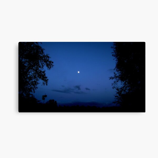 Blue sky Canvas Print