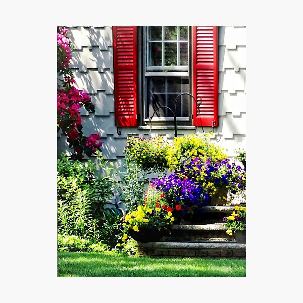 Aperçu de l'œuvre Fleurs et volets rouges créée et vendue par Susan Savad.