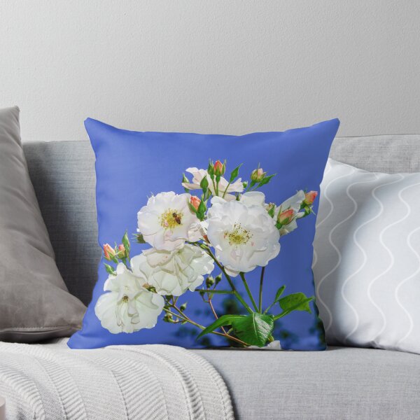 Item preview, Botanic garden with blossom flowers, Andlau, Alsace, France designed and sold by Alexander Sorokopud.