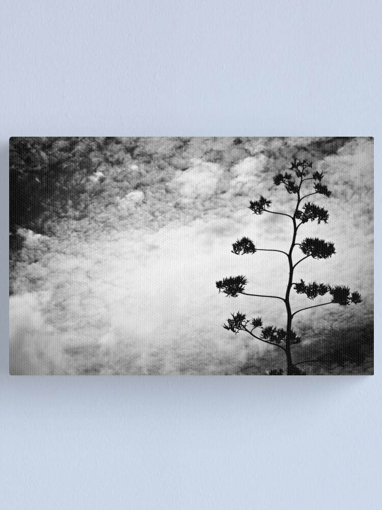 Thumbnail 1 of 3, Canvas Print, Wild Tree designed and sold by macstrat.
