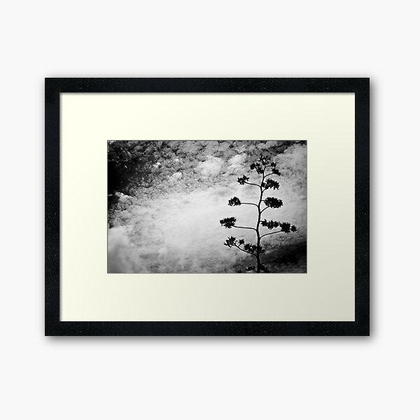 Framed Art Print