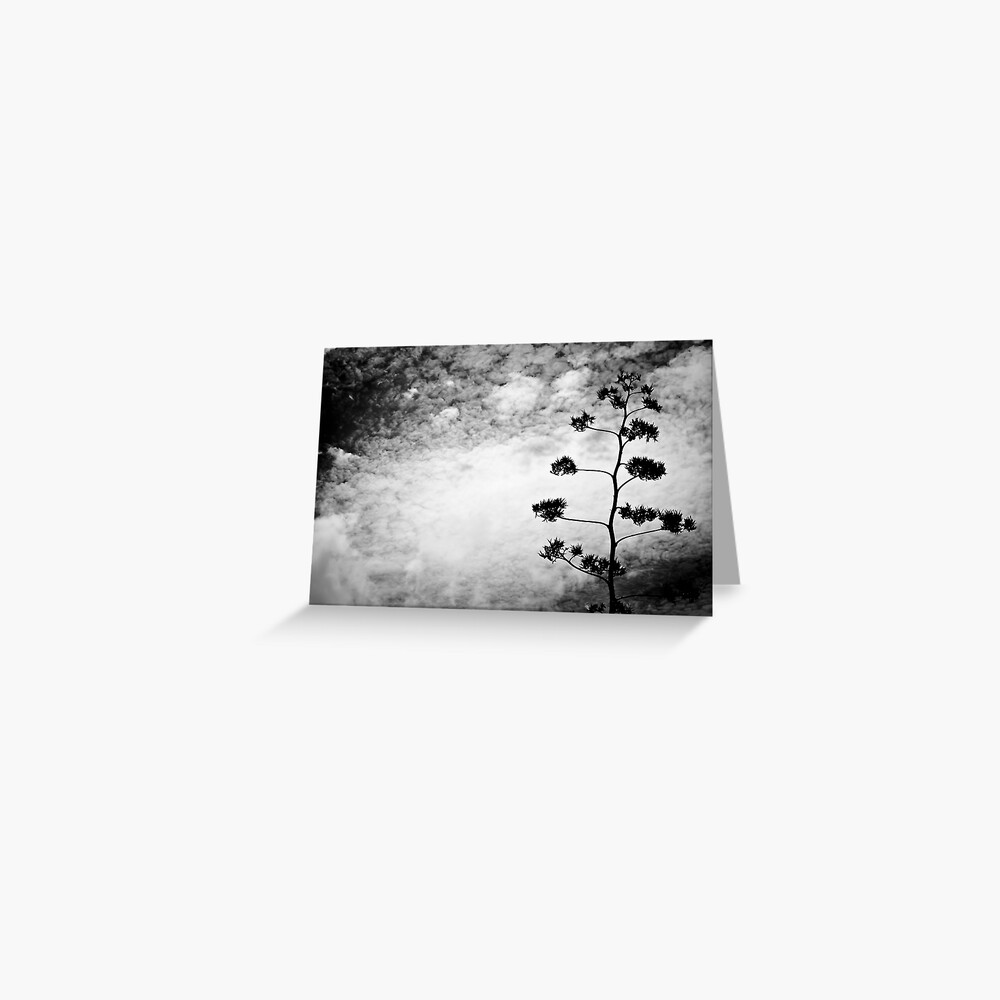 Item preview, Greeting Card designed and sold by macstrat.