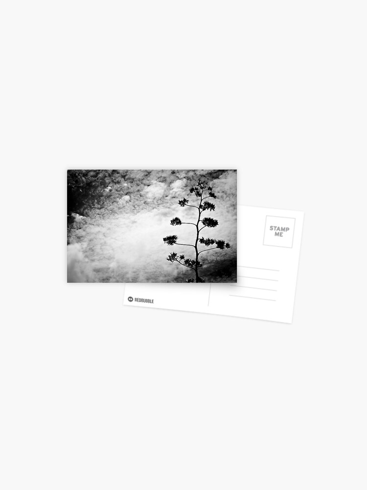 Thumbnail 1 of 2, Postcard, Wild Tree designed and sold by macstrat.
