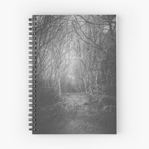 Item preview, Into The Woods designed and sold by jbjobby.