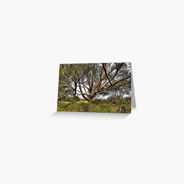Item preview, Branching designed and sold by Dean Wiles.