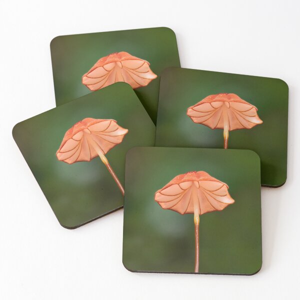 Item preview, forest dancer designed and sold by Michelle Honey.