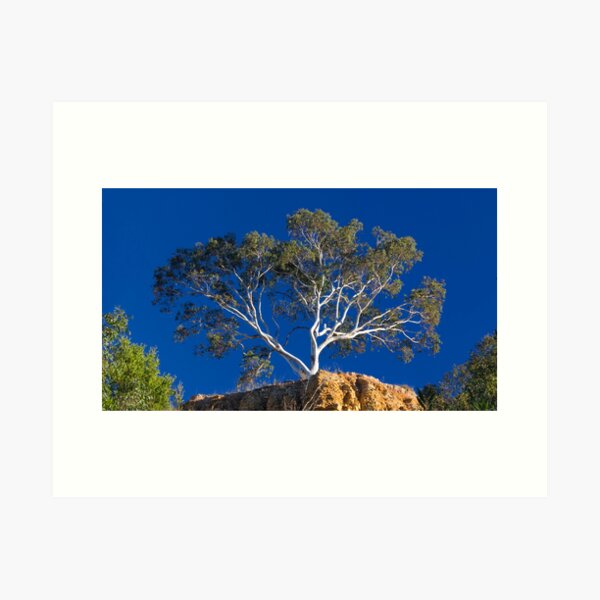 Item preview, Tree at Omeo designed and sold by Charles Kosina.