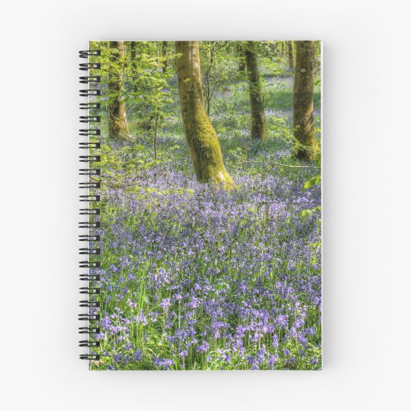 Item preview, Bluebells in Cally Woods, Gatehouse of Fleet Dumfries Galloway Photo designed and sold by CreativeNatureM.