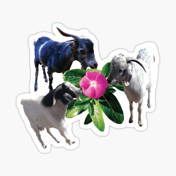Item preview, Lovely Goats designed and sold by ELBERSAID.