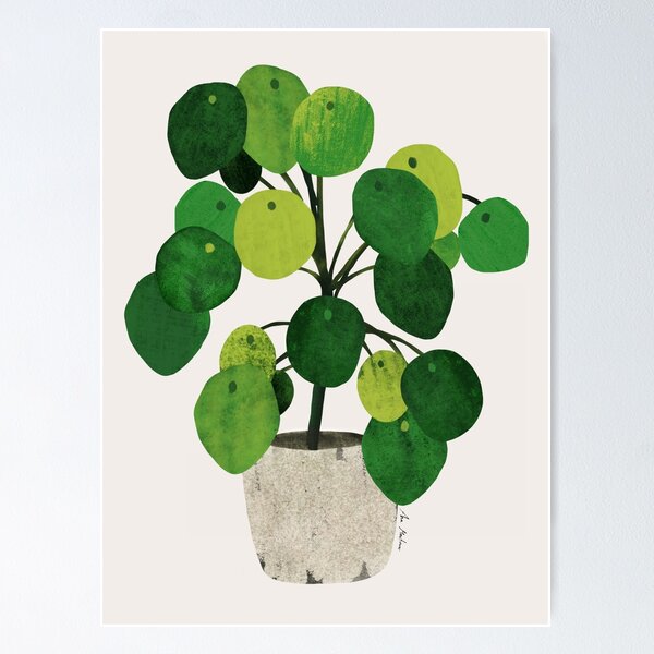 Item preview, Pilea Peperomioides interor plant designed and sold by Elbuenlimon.