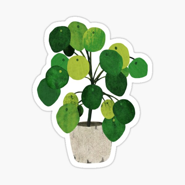 Item preview, Pilea Peperomioides interor plant designed and sold by Elbuenlimon.