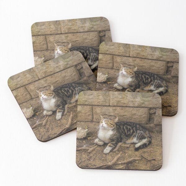 Item preview, Street Cat in Balat Istanbul designed and sold by jojobob.