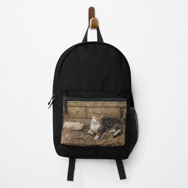 Item preview, Street Cat in Balat Istanbul designed and sold by jojobob.