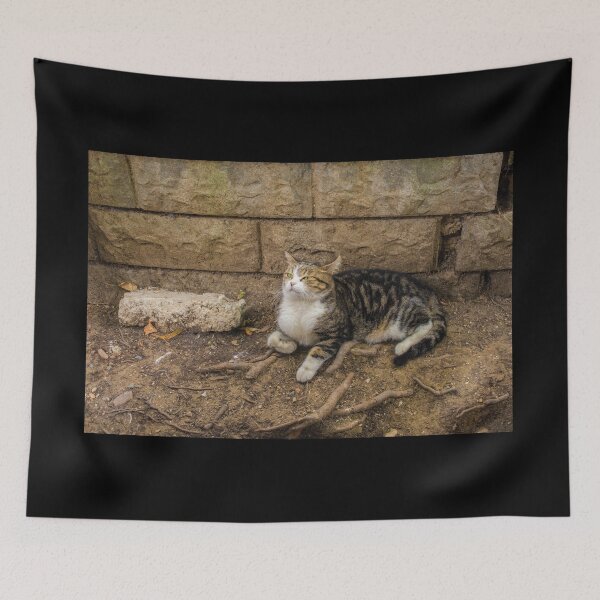 Item preview, Street Cat in Balat Istanbul designed and sold by jojobob.