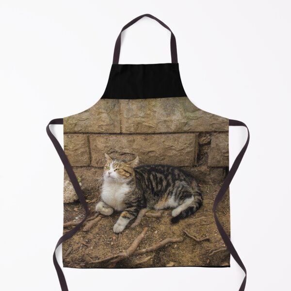 Item preview, Street Cat in Balat Istanbul designed and sold by jojobob.