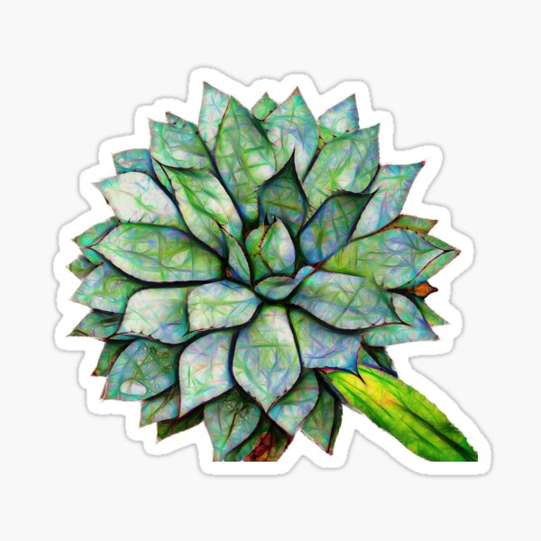 agave macroacantha – アガベ (PNG) ¦ Sticker