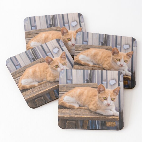 Item preview, Street Cat in Fener, Istanbul designed and sold by jojobob.