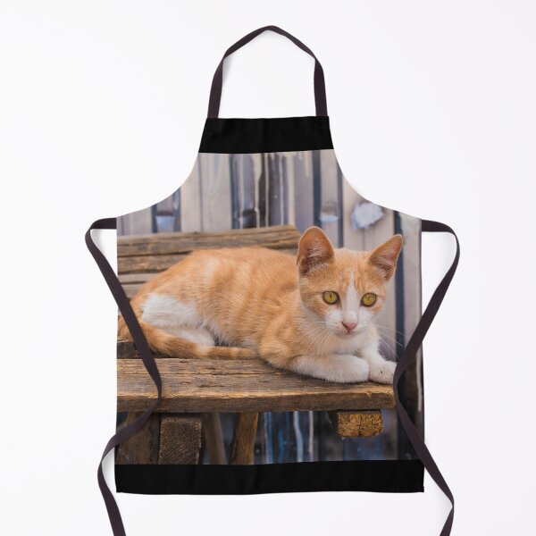Item preview, Street Cat in Fener, Istanbul designed and sold by jojobob.