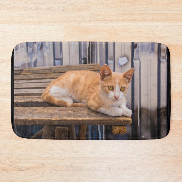 Item preview, Street Cat in Fener, Istanbul designed and sold by jojobob.