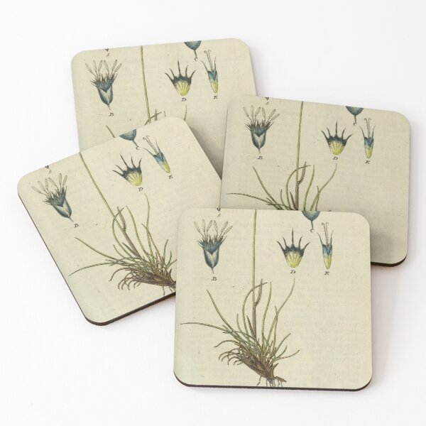 Item preview, vintage botanical designed and sold by Txxmstore.