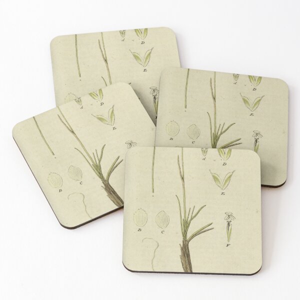 Item preview, vintage botanical designed and sold by Txxmstore.