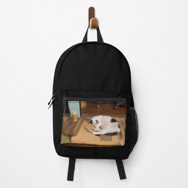 Item preview, Street Cat in Galata, Istanbul designed and sold by jojobob.