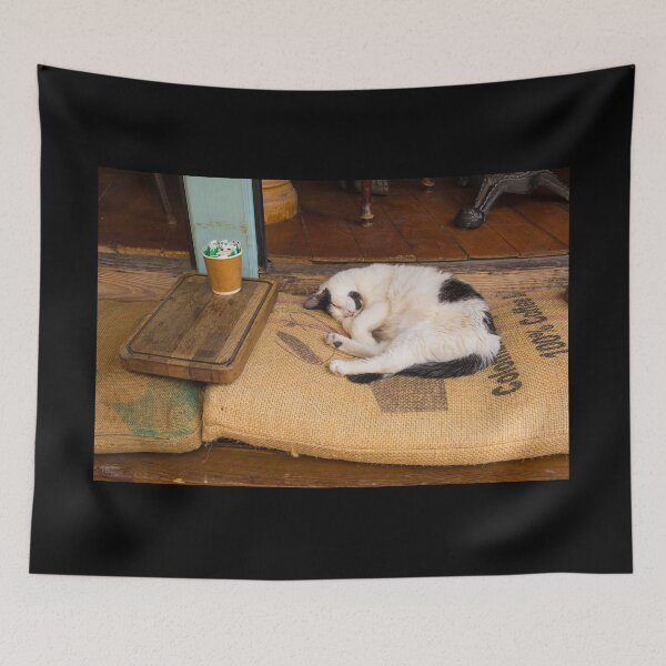Item preview, Street Cat in Galata, Istanbul designed and sold by jojobob.