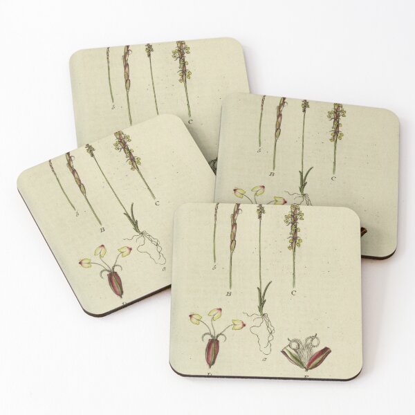 Item preview, vintage botanical designed and sold by Txxmstore.