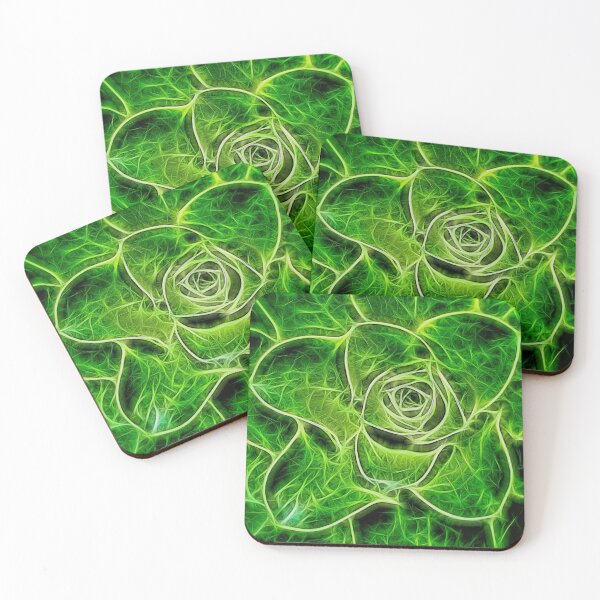 Item preview, irish rose – aeonium arboreum ¦ designed and sold by nature. electrified..