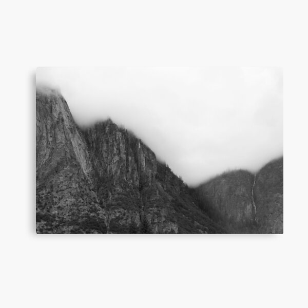 Metal Print