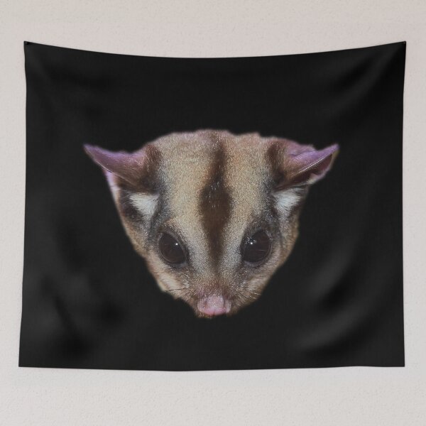 Item preview, Sugar Glider designed and sold by myuniquepet.