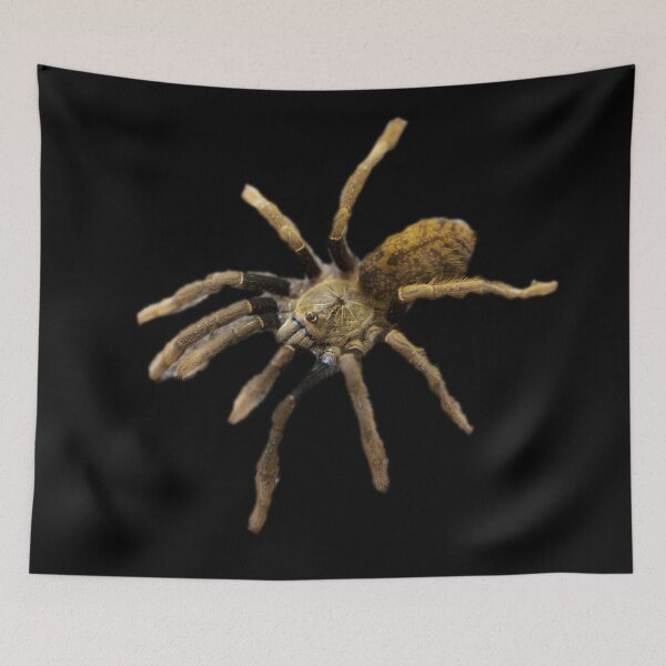 Item preview, Tarantula designed and sold by myuniquepet.