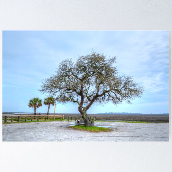Item preview, Inlet Oak designed and sold by Kathy Baccari.