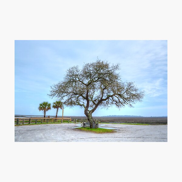 Item preview, Inlet Oak designed and sold by Kathy Baccari.