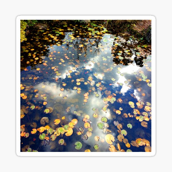 Lilies in Japanese pond Sticker