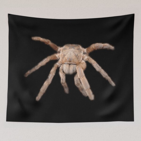 Item preview, Tarantula designed and sold by myuniquepet.