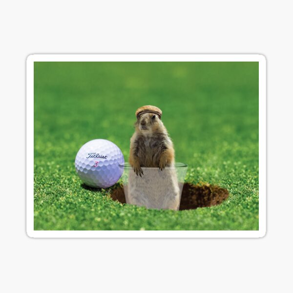 Item preview, Gopher Golf designed and sold by Randy Turnbow.