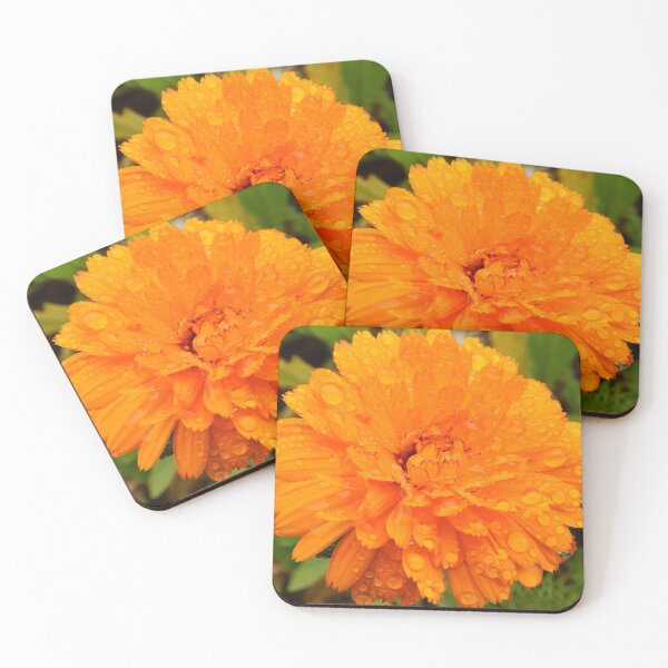 Item preview, Calendula designed and sold by cjgraphic.