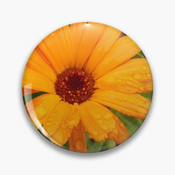 Item preview, Calendula 2 designed and sold by cjgraphic.