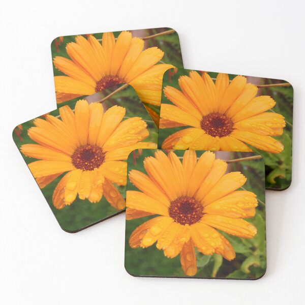 Item preview, Calendula 2 designed and sold by cjgraphic.