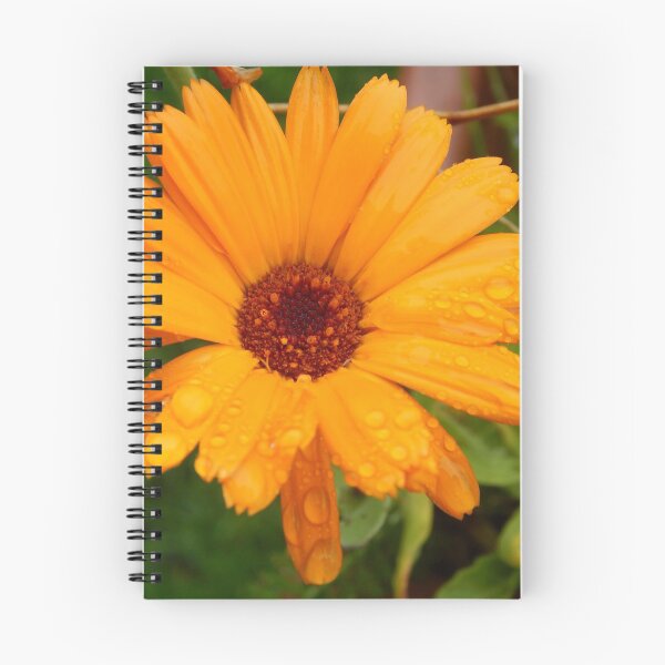 Item preview, Calendula 2 designed and sold by cjgraphic.